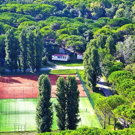 Belvedere, Градо